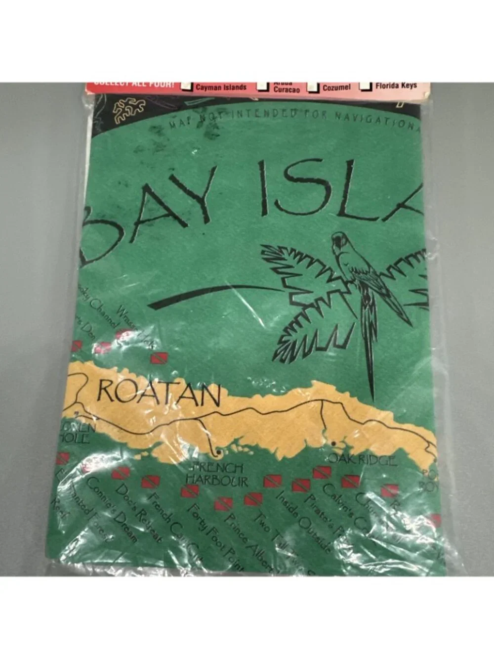 90s Innovative Scuba Concepts Dive Map Bandana Vintage Map 80s Green Red Rare